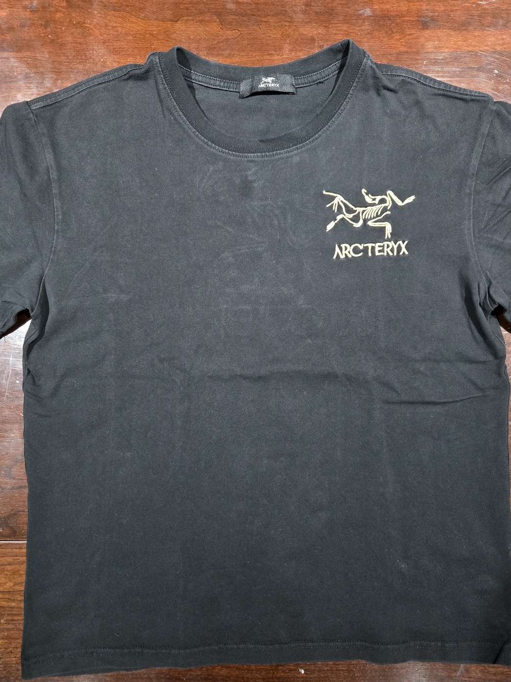 Arcteryx Kragg SL Cotton Bird Word T-Shirt